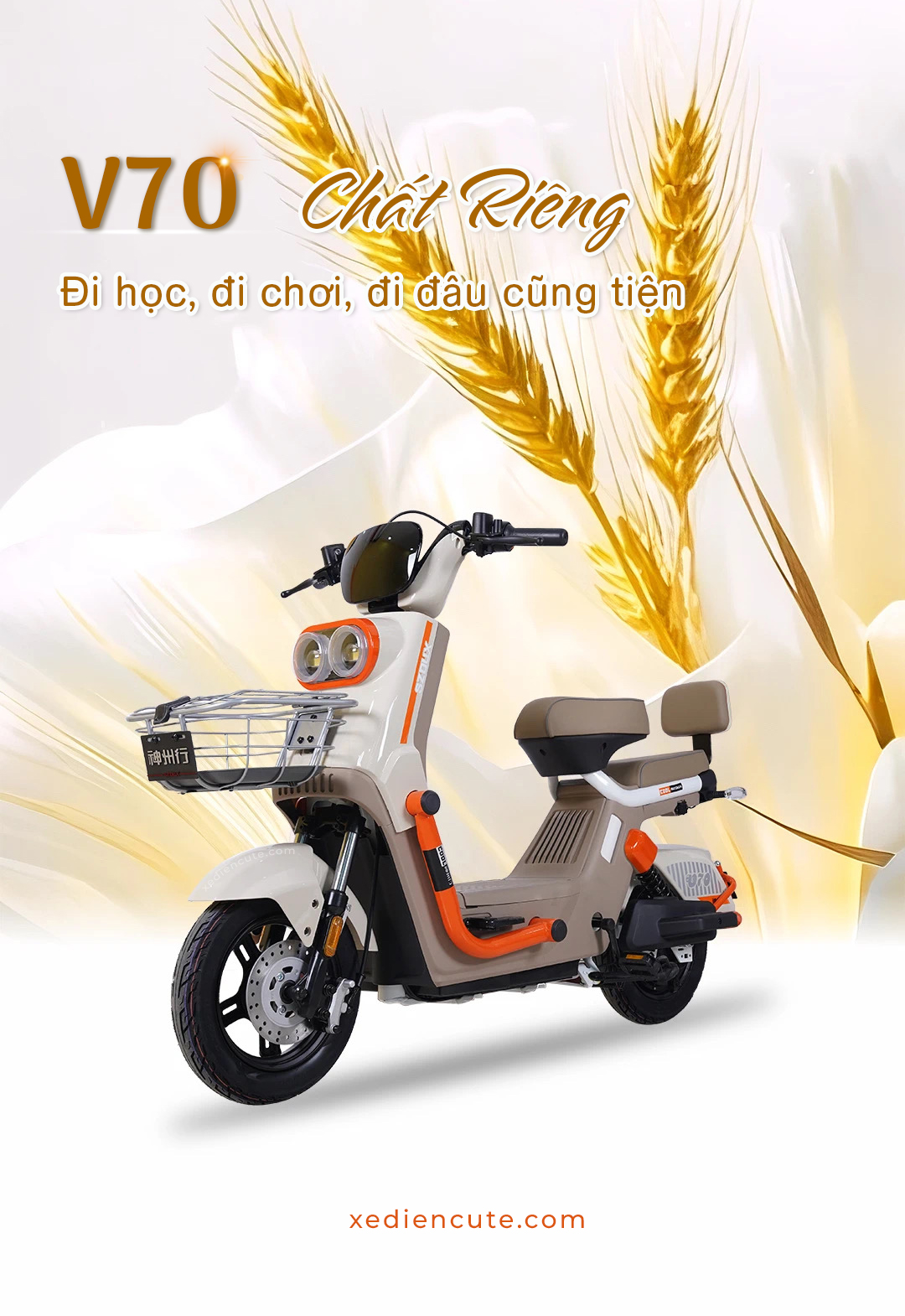 xe đạp điện V70